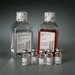 Thermo Fisher Scientific Pierce Mouse Embryonic Fibroblast Isolation Kit