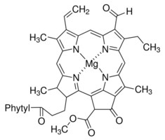 Merck CHLOROPHYLL B