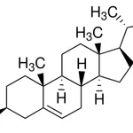 Merck CHOLEST-5-EN-3-BETA-YL BUTANOA - 1 MG&