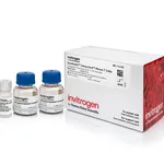 Thermo Fisher Scientific Dynabeads Untouched Mouse T Cells Kit