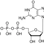 Merck GUANOSINE 5``-TRIPHOSPHATE SODIUM &