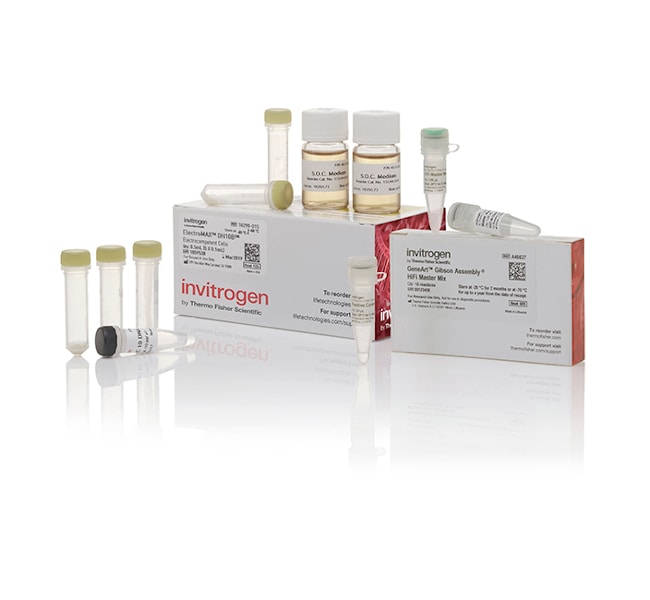 Thermo Fisher Scientific GeneArt Gibson Assembly HiFi Cloning Kit, electrocompetent cells
