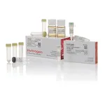 Thermo Fisher Scientific GeneArt Gibson Assembly HiFi Cloning Kit, electrocompetent cells