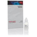 Thermo Fisher Scientific SuperBoost Goat anti-Rabbit Poly HRP
