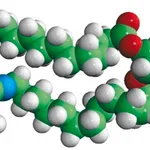 Merck 14:0-12:0 NBD PA