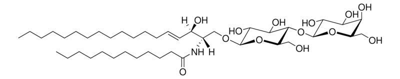 Merck C12 Lactosyl(beta) Ceramide (d18:1/12:0)