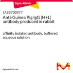 Merck Anti-Guinea Pig IgG (H+L) antibody produced in rabbit