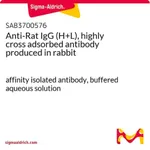 Merck Anti-Rat IgG (H+L), highly cross adsorbed antibody produced in rabbit