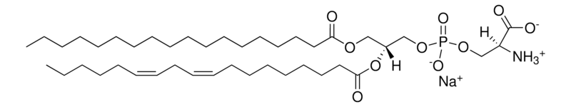 Merck 18:0-18:2 PS