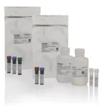 Thermo Fisher Scientific eBioscience Essential Human Th1/Th17 Phenotyping Kit