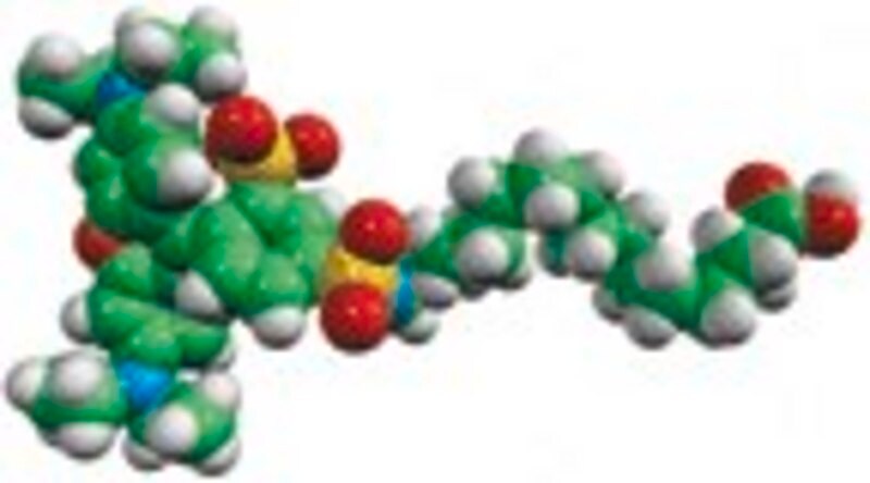 Merck palmitic acid - lissamine rhodamine