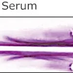 Merck RABBIT ANTI-PIG WHOLE SERUM