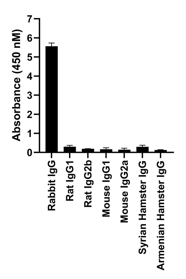 Thermo Fisher Scientific Goat anti-Rabbit IgG Fc, Cross-Adsorbed Secondary Antibody, Alexa Fluor 594