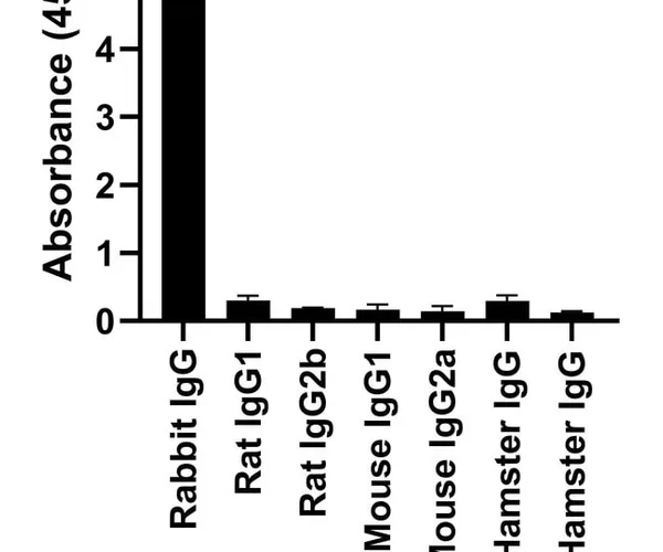 Thermo Fisher Scientific Goat anti-Rabbit IgG Fc, Cross-Adsorbed Secondary Antibody, Alexa Fluor 594
