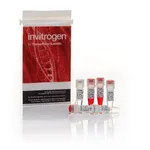 Thermo Fisher Scientific Anza 5 BamHI, 8000 units