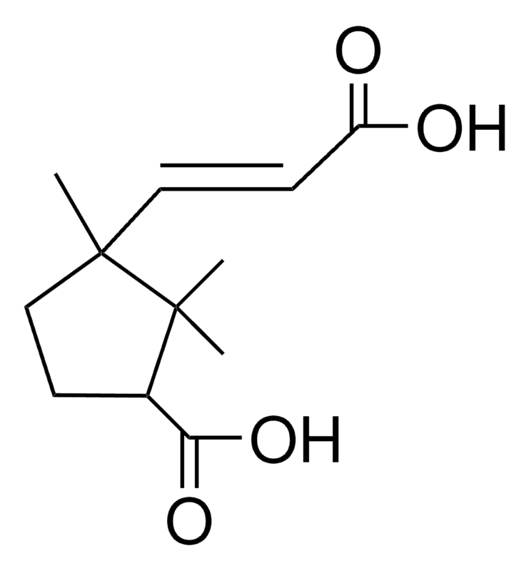 Merck 3-CARBOXY-1,2,2-TRIMETHYLCYCLOPE-