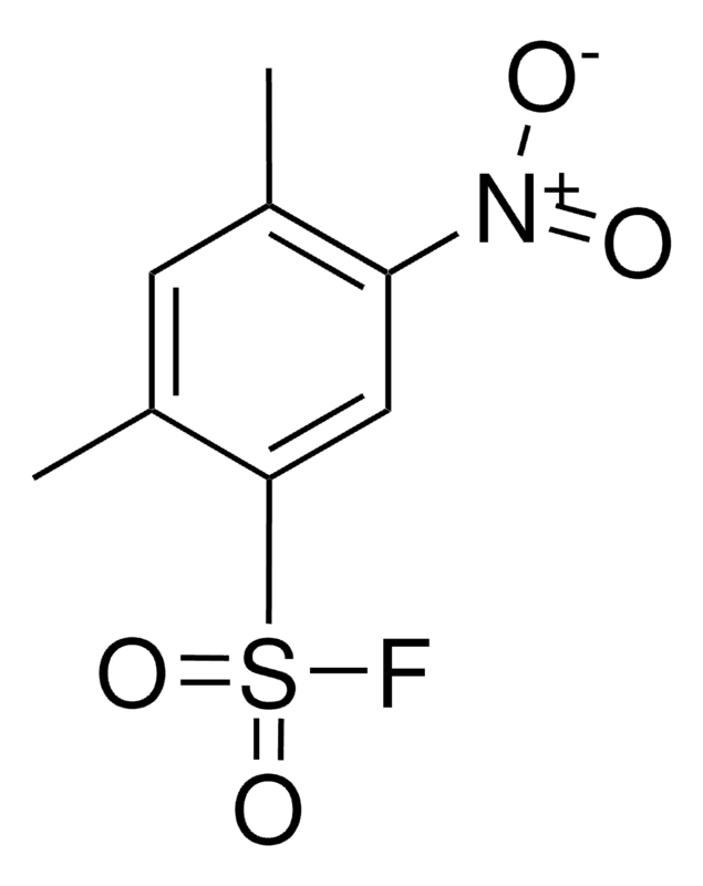 Merck 2,4-DIMETHYL-5-NITROBENZENESULF-