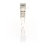 Thermo Fisher Scientific ATP Solution, Tris buffered