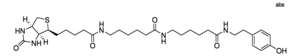 Merck BIOTIN-XX-TYRAMIDE
