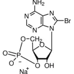 Merck 8-BROMOADENOSINE 3``:5``-CYCLIC