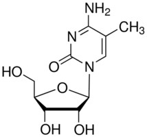 Merck 5-METHYLCYTIDINE