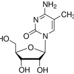 Merck 5-METHYLCYTIDINE