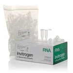 Thermo Fisher Scientific RNase-Free Elution Tubes (2.0 mL)