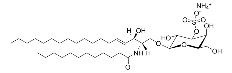 Merck C12 Mono-Sulfo Galactosyl(beta) Ceramide (d18:1/12:0)