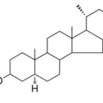Merck 5-ALPHA-CHOLESTAN-3-BETA-YL TR - 1 MG&
