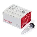 Thermo Fisher Scientific Lipofectamine 2000 CD Transfection Reagent