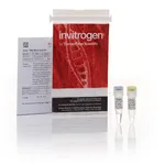 Thermo Fisher Scientific Anza DNA Blunt End Kit
