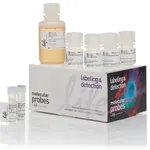 Thermo Fisher Scientific Click-iT EdU Pacific Blue Flow Cytometry Assay Kit