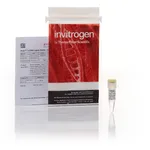Thermo Fisher Scientific Anza T4 DNA Ligase Master Mix, 50 Reactions