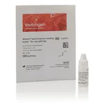 Thermo Fisher Scientific Attune Performance Tracking Beads