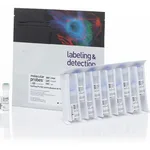 Thermo Fisher Scientific CellTrace CFSE Cell Proliferation Kit, for flow cytometry, 180 reactions kit