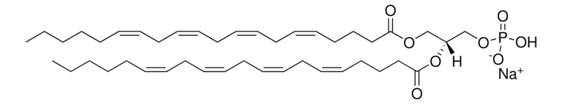 Merck 20:4 PA