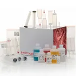 Thermo Fisher Scientific PureLink Fast Low-Endotoxin Maxi Plasmid Purification Kit, 10 Preps