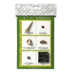 AS ONE Fossil Samples, 화석 표본