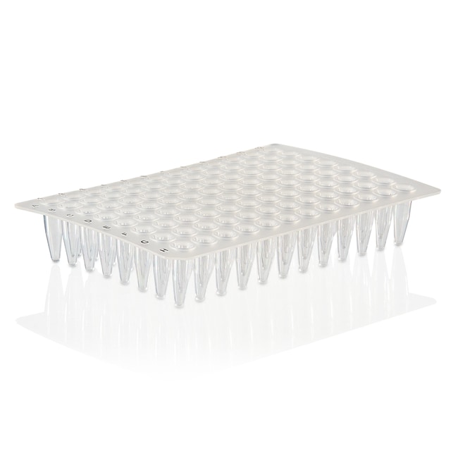Thermo Fisher Scientific PCR Plate, 96-well, non-skirted, black lettering