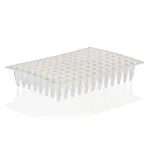 Thermo Fisher Scientific PCR Plate, 96-well, non-skirted, black lettering