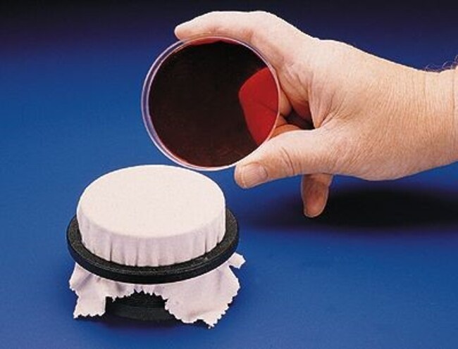 Thermo Fisher Scientific Petri Dish Replica-Plating Tool, 90 to 100mm