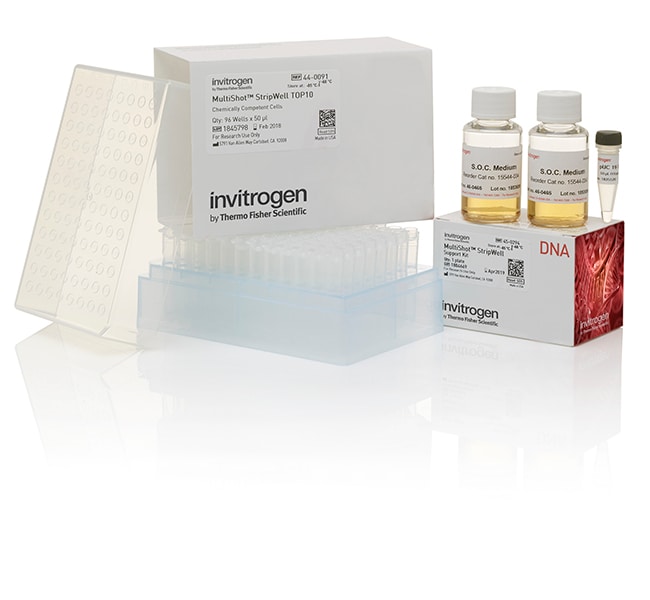 Thermo Fisher Scientific MultiShot StripWell TOP10 Chemically Competent E. coli, 1 x 96 tube rack (50 &mu;l/tube)