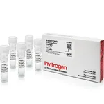 Thermo Fisher Scientific Glycogen (5 mg/ml)