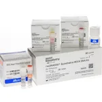 Thermo Fisher Scientific resDNASEQ Quantitative MDCK DNA Kit, 100 reactions