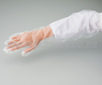 AS ONE PROSHARE Polyethylene Long Glove Free Size　600mm, 프로셰어 폴리에틸렌 긴장갑 (프리 사이즈)  600mm
