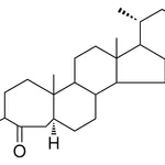 Merck 3-FURFURYLIDENE-A-HOMO-5-ALPHA - 1 MG&