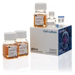 Thermo Fisher Scientific ExpiFectamine CHO Transfection Kit, For 1 L of culture