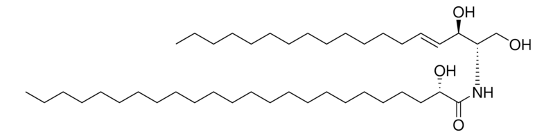 Merck 24:0(2S-OH) Ceramide