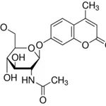 Merck 4-METHYLUMBELLIFERYL-N-ACETYL-B-D- &