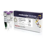 Thermo Fisher Scientific FastDigest XhoI, 400 μL (400 reactions)